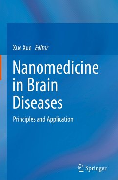 Nanomedicine in Brain Diseases