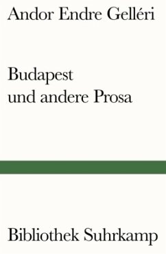 Budapest und andere Prosa - Gelléri, Andor Endre