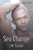 Sea Change (eBook, ePUB)