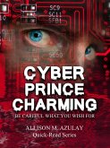 Cyber Prince Charming (Quick-Read Series, #9) (eBook, ePUB)