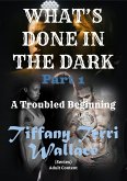 What's Done in The Dark: A Troubled Beginning (eBook, ePUB)