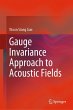 Gauge Invariance Approach to Acoustic... - Bild 1