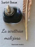 La scrittrice maliziosa (eBook, ePUB)