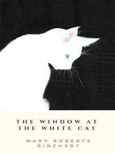 The Window at the White Cat (eBook, ePUB) - Roberts Rinehart, Mary