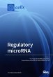 Regulatory microRNA - Bild 1