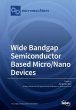 Wide Bandgap Semiconductor Based... - Bild 1