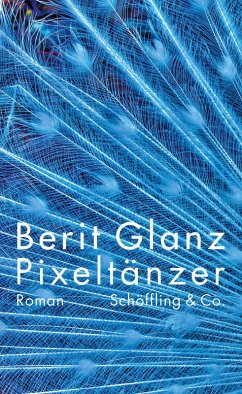 Pixeltänzer (eBook, ePUB) - Glanz, Berit