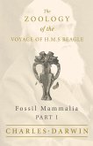 Fossil Mammalia - Part I - The Zoology of the Voyage of H.M.S Beagle (eBook, ePUB)