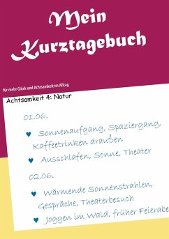 Mein Kurztagebuch - Pauligk, Christine