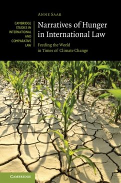 Cover Narratives of Hunger in International Law (eBook, PDF)