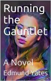 Running the Gauntlet / A Novel (eBook, PDF)