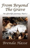 From Beyond The Grave (eBook, ePUB)