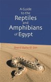 Guide to the Reptiles and Amphibians of Egypt (eBook, PDF)