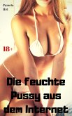 Die feuchte Pussy aus dem Internet (eBook, ePUB)