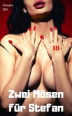 Zwei Mösen für Stefan (eBook, ePUB)