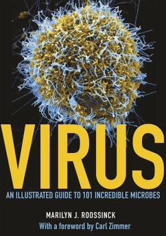Virus (eBook, PDF) - Roossinck, Marilyn J.