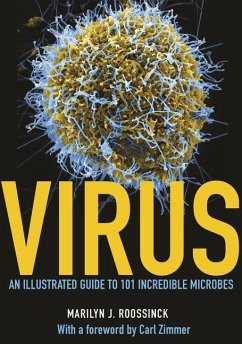Cover Virus (eBook, PDF)