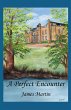 A Perfect Encounter (eBook, ePUB) - Bild 1