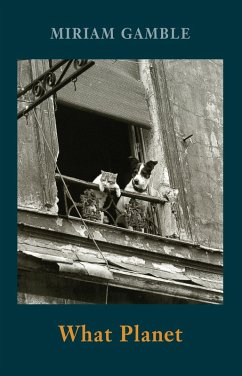 Cover What Planet (eBook, ePUB)