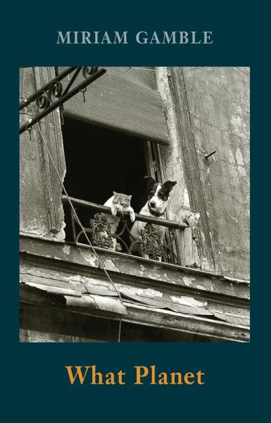 What Planet (eBook, ePUB) What Planet (eBook, ePUB)