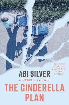 The Cinderella Plan (eBook, ePUB) - Silver, Abi