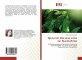 Epuration des eaux usées par Macrophytes