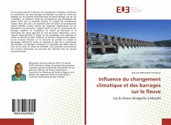 Influence du changement climatique et des barrages sur le fleuve - Mahamane Oumarou, Moussa