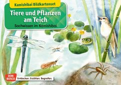 Tiere und Pflanzen am Teich. Kamishibai-Bildkartenset. - Stöckl-Bauer, Katharina