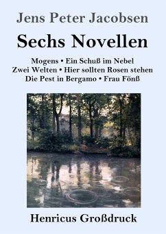 Sechs Novellen (Großdruck) - Jacobsen, Jens Peter