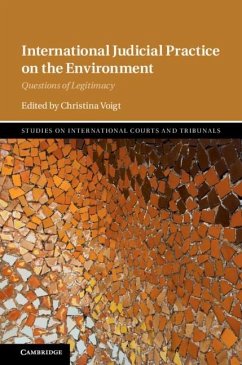 Cover International Judicial Practice on the Environment (eBook, ePUB)