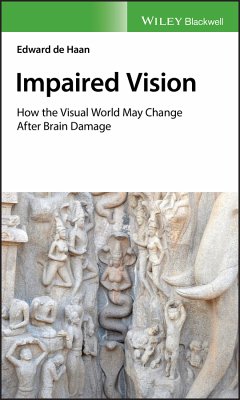 Impaired Vision (eBook, ePUB) - De Haan, Edward