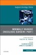 Minimally Invasive Oncologic Surgery,... - Bild 1