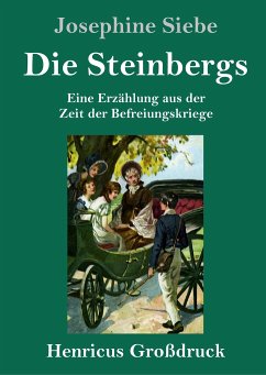 Die Steinbergs (Großdruck) - Siebe, Josephine