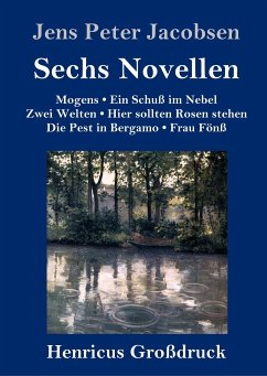 Sechs Novellen (Großdruck) - Jacobsen, Jens Peter