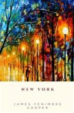 New York (eBook, ePUB)