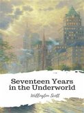 Seventeen Years in the Underworld (eBook, ePUB)