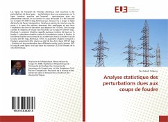 Analyse statistique des perturbations dues aux coups de foudre - Kabadi Tshijanu, Pax