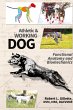 Athletic and Working Dog - Bild 1