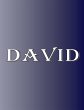 David - Bild 1