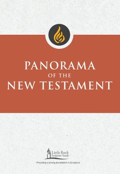 Panorama of the New Testament (eBook, ePUB) - Binz, Stephen J.