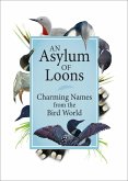 An Asylum of Loons (eBook, ePUB)