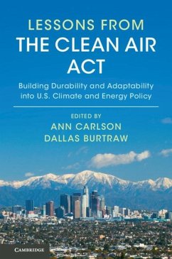 Cover Lessons from the Clean Air Act (eBook, ePUB)