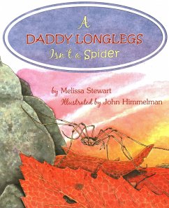 A Daddy Longlegs Isn't a Spider - Stewart, Melissa