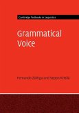 Grammatical Voice (eBook, ePUB)