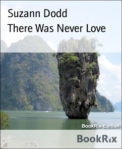 There Was Never Love (eBook, ePUB) - Dodd, Suzann