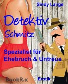 Detektiv Schmitz (eBook, ePUB)