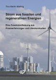 Strom aus fossilen und regenerativen Energien. Eine Zusammenfassung aus Praxiserfahrungen und Literaturstudien