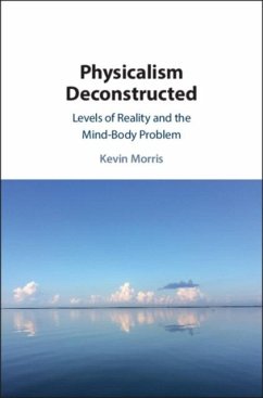 Physicalism Deconstructed (eBook, PDF) - Morris, Kevin