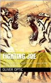 Fighting Joe / Or, The Fortunes of a Staff Officer. A Story of the Great Rebellion (eBook, PDF)