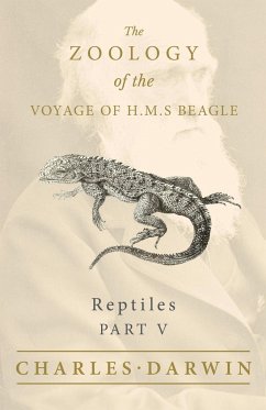 Reptiles - Part V - The Zoology of the Voyage of H.M.S Beagle ; Under the Command of Captain Fitzroy - During the Years 1832 to 1836 - Darwin, Charles; Bell, Thomas